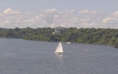 Potter Pond Shell Game