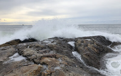 Fall surfcasting is discovering the way before finding the fish