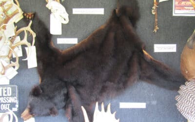 Poaching Needs a Judge Who Respects Fish and Fishermen