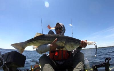 Sea bass, Kingfish, Big Stripers and memories with your daughter