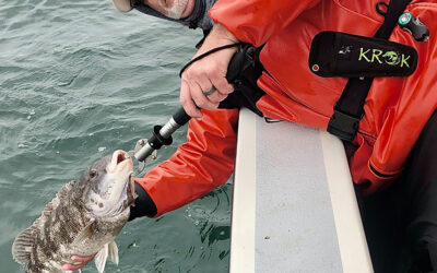 Let Greg Vespe take the helm in Narragansett Bay