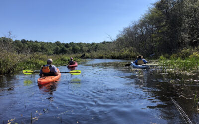 Time to stop idling and start paddling our Wild and Scenic Rivers