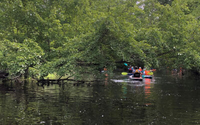 Reconnecting With Local Rivers