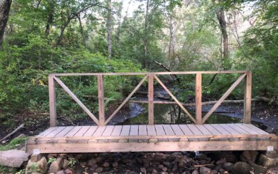Low trout waters means it’s time to fish the beach not the banks