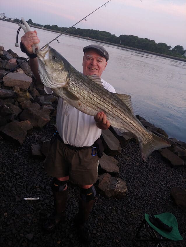 Good News For Stripers