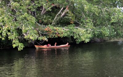 A Deeper Look at Brook Trout