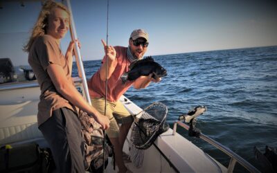 A bulldozed Fish Wrap Year in Review