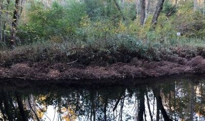 Success With Trees for Trout Unlimited