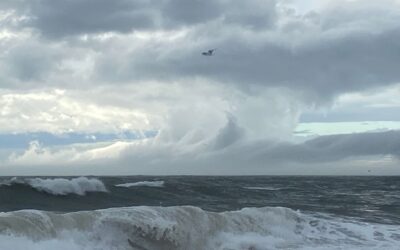 Poaching & Beach Access In the House