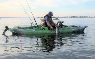 ASMFC Needs Striper Knowledge