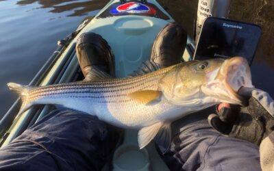 Best 2021 Spring Striper Lures