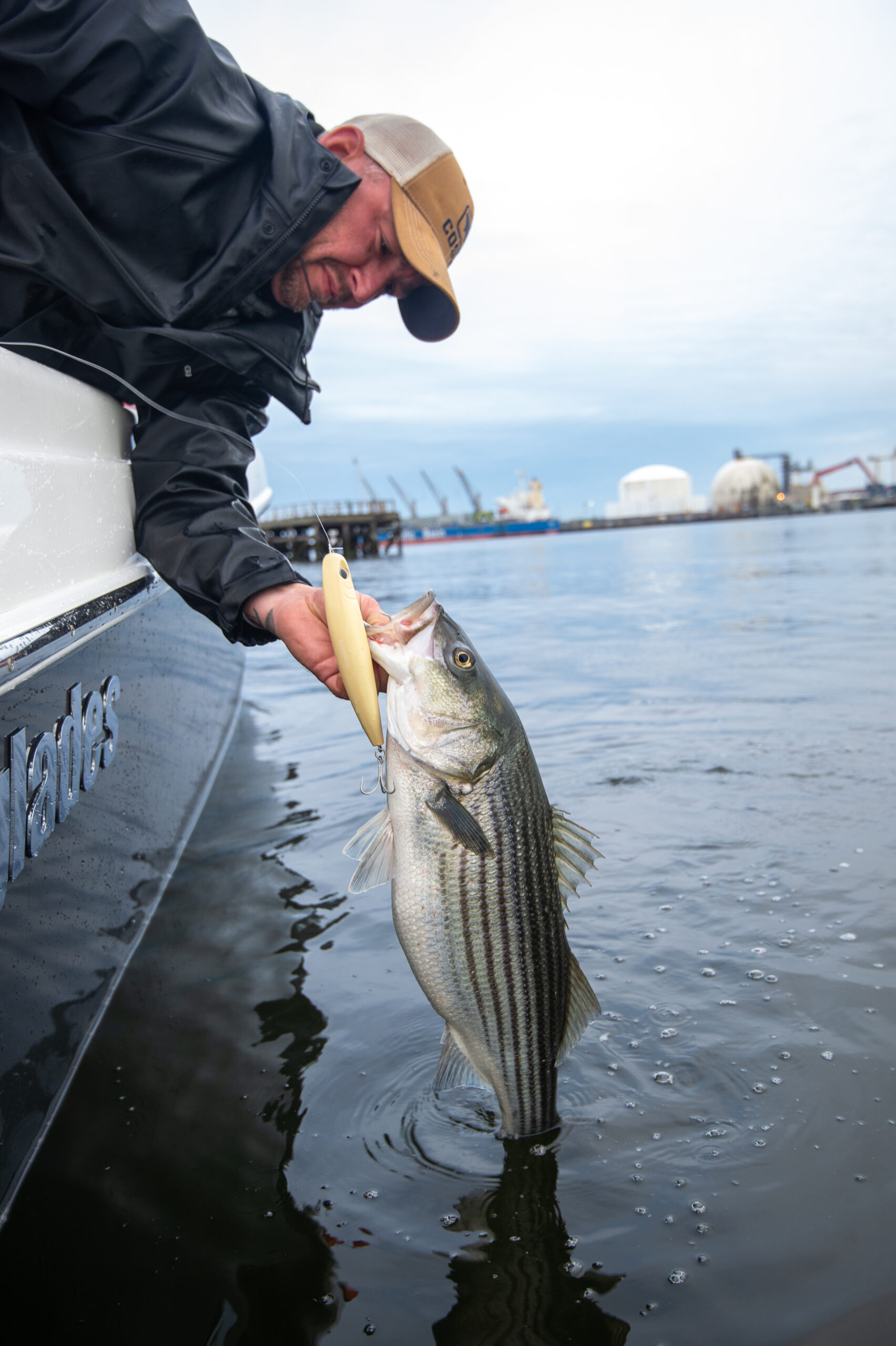 Go Local for Spring Stripers