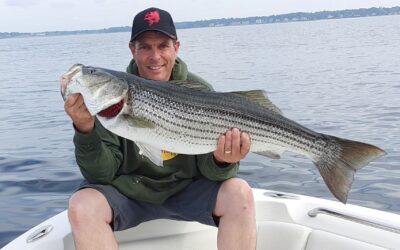 Fish Fat, Flat & Weak