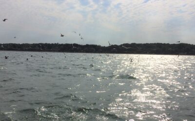 August Maintenance Is Not Routine