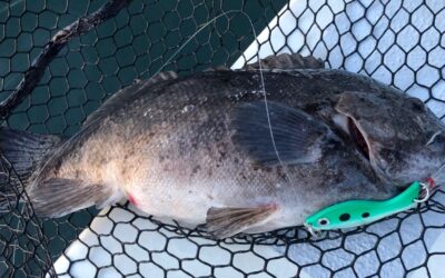 Jig Deep, Dig Deeper