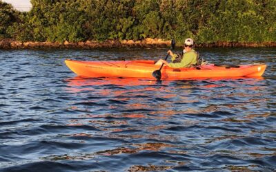 RISAA Needs Your Help, Potter Pond Gets Some