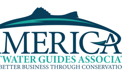 Trees, Trout, Guides, Flies & Film