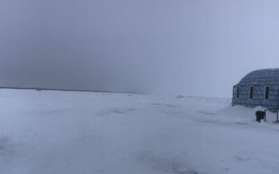 2022 Fish Wrap Memories