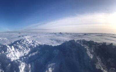 Walleyes Through 40” of Minnesota Ice