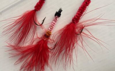 Fish and Regs Are Back