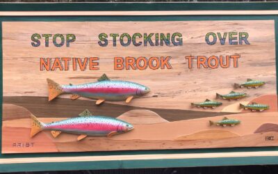 No Stocking Upper Wood River