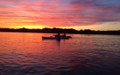 Salt Ponds and Cinder Worms