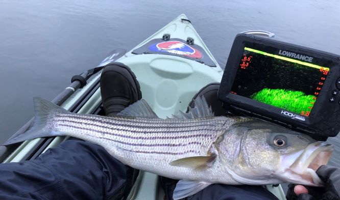 Rhode Island Striped Bass: Surprises of 2023= New Ideas for 2024!