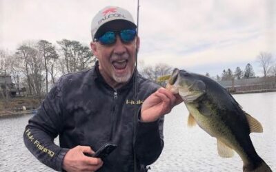 Epic LIVE TARGET Pumpkinseeds