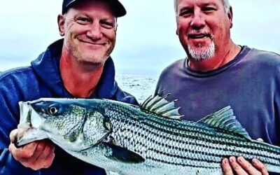 Big Narragansett Bay Stripers