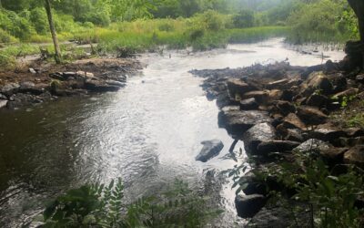 Good Stewardship, Good Fishing