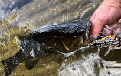 Fishing in Maine-ly Rains