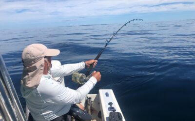 Team Heavy’s Back To Back Threshers