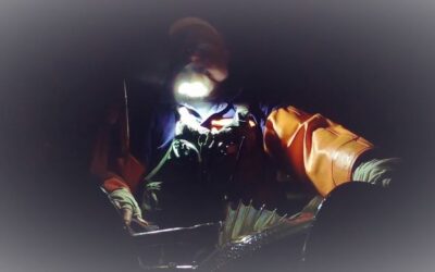 Thank You Yvon Chouinard