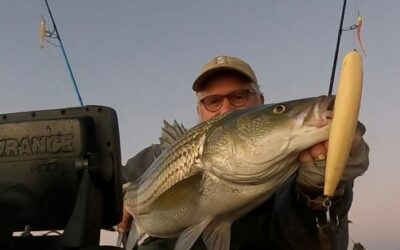 6 Holdover Striper Tips