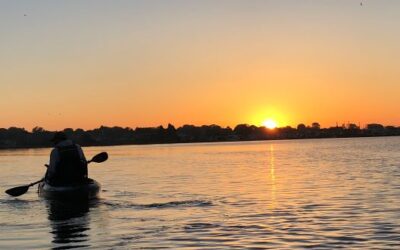 Some Salt Pond Nights
