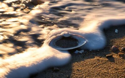 The Brewer Brothers Part I