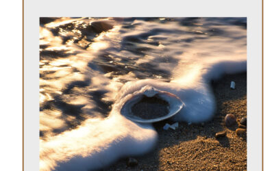 The Brewer Brothers Part II