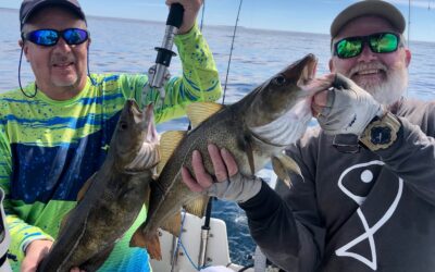 New England Saltwater Fishing Show Is Back