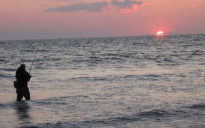 Peter Jenkins & Dennis Zambrotta Talk Block Island Striped Bass, Conservation