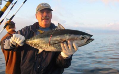 Kings Of Their Own Ocean