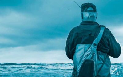 Tomorrow’s Fish Need Help Today