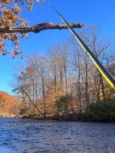 Thirsty For Pulaski's Salmon River