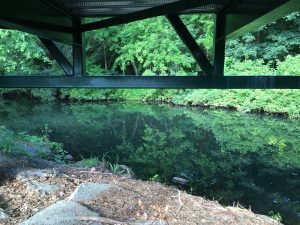 The Guide To Urban Fly Fishing The Guide To Urban Fly Fishing