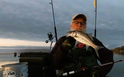 Salt Pond News, Gossip, Warnings and Whispers