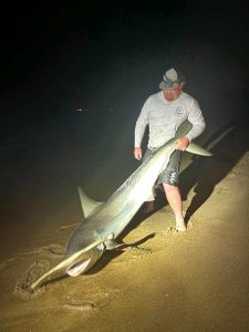 Russ Mack's Hammerhead Shark Surprise