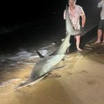 Russ Mack's Hammerhead Shark Surprise