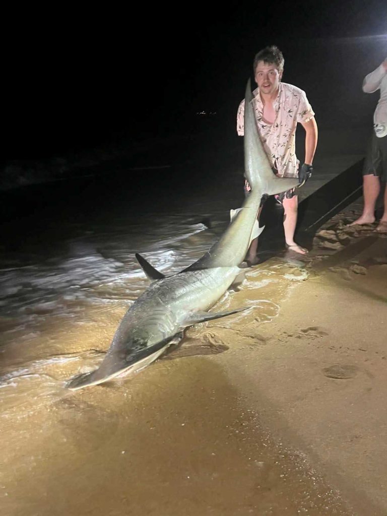 Russ Mack's Hammerhead Shark Surprise