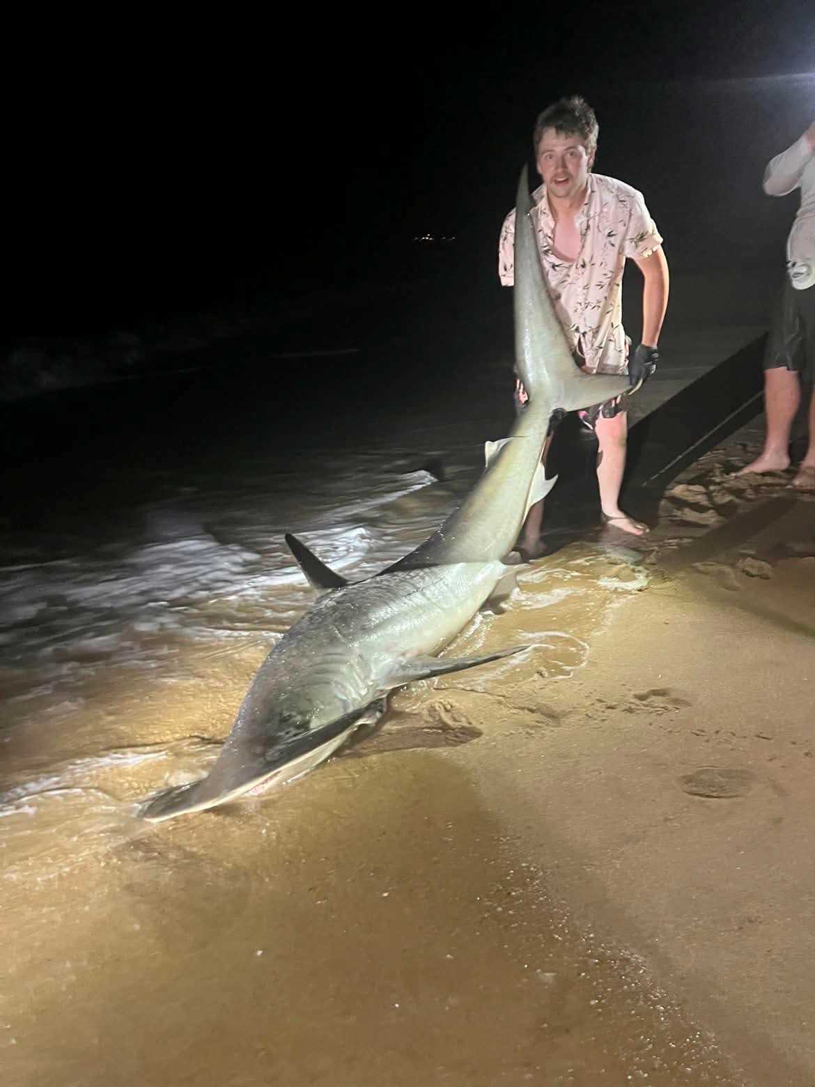 Russ Mack's Hammerhead Shark Surprise